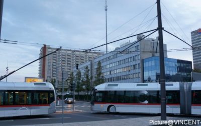 BRT 4　導入都市